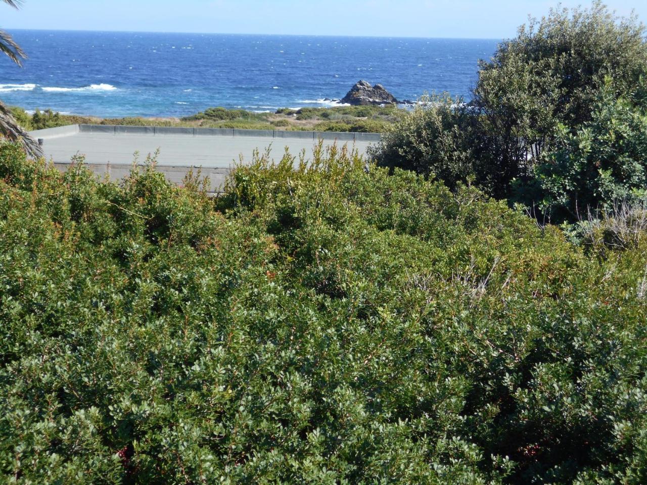 Le Case Punta Negra Stintino Exterior foto